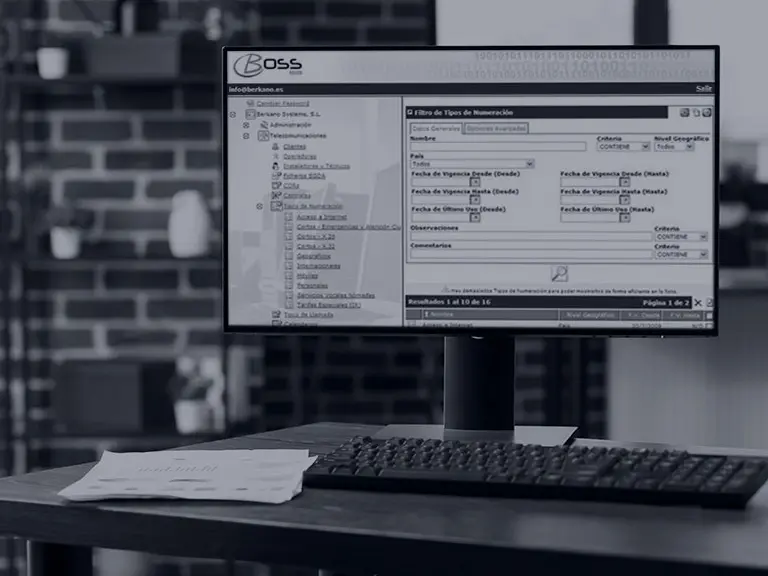 bOSS Software facturación Berkano